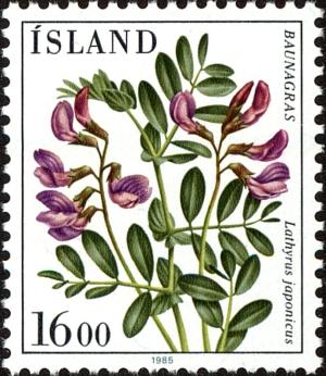Colnect-3929-905-Lathyrus-japonicus.jpg