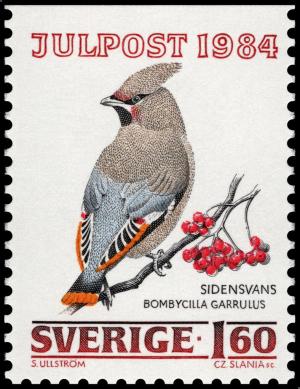 Colnect-4391-028-Bohemian-Waxwing-Bombycilla-garrulus.jpg