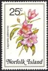 Colnect-2167-358-Lagunaria-patersonia---White-oak.jpg