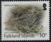 Colnect-4412-801-Correndera-Pipit-Anthus-correndera.jpg
