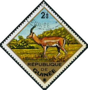 Colnect-5303-819-Impala-Aepyceros-melampus.jpg