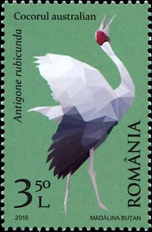 Colnect-5252-760-Brolga-Antigone-rubicunda.jpg