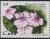 Colnect-1060-770-Vicaria-Catharanthus-roseus.jpg