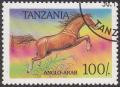 Colnect-1068-799-Anglo-Arabian-Equus-ferus-caballus.jpg