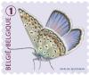 Colnect-2286-142-Common-Blue-Polyommatus-icarus.jpg