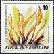 Colnect-2527-643-Stilbothamnium-dybowskii.jpg