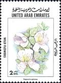 Colnect-4232-529-Capparis-spinosa.jpg