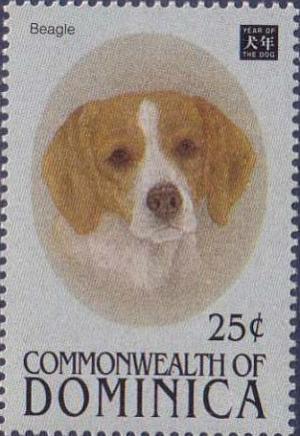 Colnect-3198-161-Beagle-Canis-lupus-familiaris.jpg