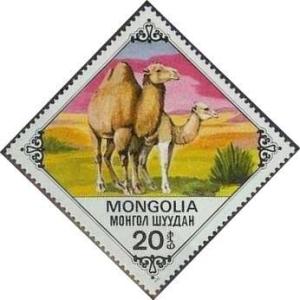 Colnect-903-585-Bactrian-Camel-Camelus-bactrianus.jpg