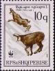 Colnect-452-984-Chamois-Rupicapra-rupicapra-two-adults.jpg