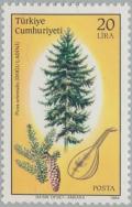Colnect-2606-622-Oriental-Spruce-Picea-orientalis-Stringed-Instrument.jpg