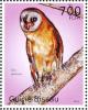 Colnect-3967-936-Ashy-faced-Owl%C2%A0Tyto-glaucops.jpg