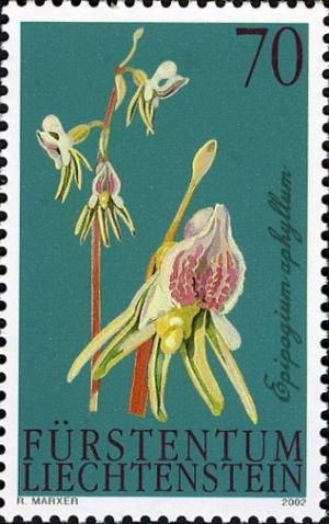 Colnect-703-536-Ghost-Orchid-Epipogium-aphyllum.jpg