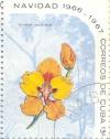 Colnect-2506-623-Oncidium-macranthum.jpg
