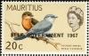 Colnect-734-498-Mauritius-Cuckooshrike-Coracina-typica.jpg