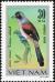 Colnect-5174-472-Rufous-backed-Shrike-Lanius-schach.jpg