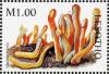 Colnect-1736-206-Clavaria-helvola.jpg