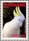 Colnect-3837-099-Sulphur-crested-Cockatoo%C2%A0%C2%A0%C2%A0%C2%A0Cacatua-galerita.jpg