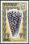 Colnect-4192-376-Conus-marmoreus.jpg