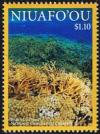 Colnect-4340-891-Hard-Coral-Scleractinia-sp.jpg