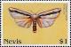 Colnect-4411-287-Common-clubtail.jpg