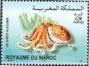 Colnect-617-477-Common-Octopus-Octopus-vulgaris.jpg