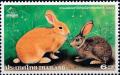 Colnect-3394-172-Domestic-Rabbit-Oryctolagus-cuniculus-forma-domestica.jpg