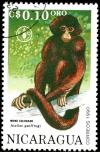 Colnect-1483-865-Mexican-Spider-Monkey-Ateles-geoffroyi.jpg