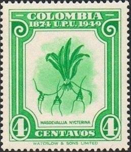 Colnect-4142-358-Masdevallia-Nycterina.jpg