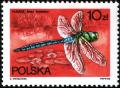 Colnect-1965-603-Emperor-Dragonfly-Anax-imperator.jpg