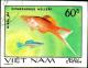 Colnect-4704-607-Green-Swordtail-Xiphophorus-helleri.jpg