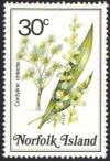 Colnect-2167-359-Cordyline-obtecta---Ti.jpg