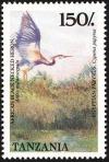 Colnect-1745-658-Black-headed-Heron-Ardea-melanocephala.jpg