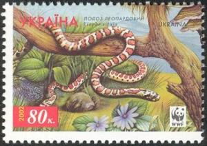 Colnect-5509-239-Leopard-Snake-Elaphe-situla.jpg