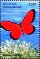 Colnect-4742-219-Cell-barred-Metalmark-Mesene-phareus.jpg