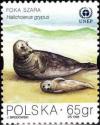 Colnect-4720-441-Gray-Seal-Halichoerus-grypus.jpg