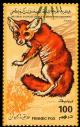 Colnect-4735-009-Fennec-Fox-Vulpes-zerda.jpg