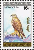 Colnect-860-491-Rough-legged-Buzzard-Buteo-lagopus.jpg