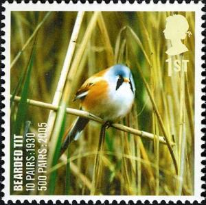 Colnect-521-204-Bearded-Reedling-Panurus-biarmicus.jpg