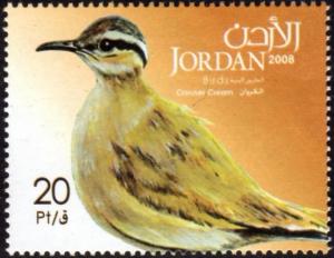 Colnect-5334-701-Cream-colored-Courser-Cursorius-cursor.jpg