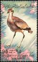 Colnect-1648-469-Cream-colored-Courser-Cursorius-cursor.jpg