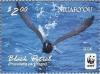 Colnect-3197-935-Black-Petrel-Procellaria-parkinsoni.jpg