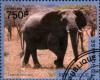 Colnect-4441-723-Elephas-maximus.jpg