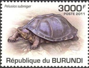 Colnect-4000-140-Pelusios-Subniger.jpg