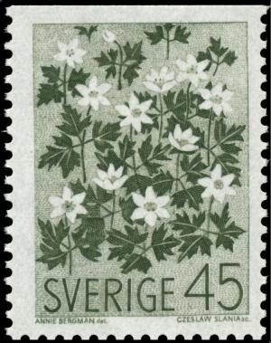 Colnect-4269-956-Wood-anemone-Anemone-nemorosa.jpg