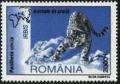 Colnect-757-000-Snow-leopard-Panthera-uncia.jpg