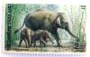 Colnect-533-583-Asian-Elephant-Elephas-maximus.jpg
