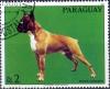 Colnect-2321-622-German-Boxer-Canis-lupus-familiaris.jpg