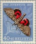 Colnect-140-061-Red-Underwing-Catocala-nupta.jpg