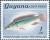 Colnect-3171-616-Millet-Crenicichla-alta.jpg